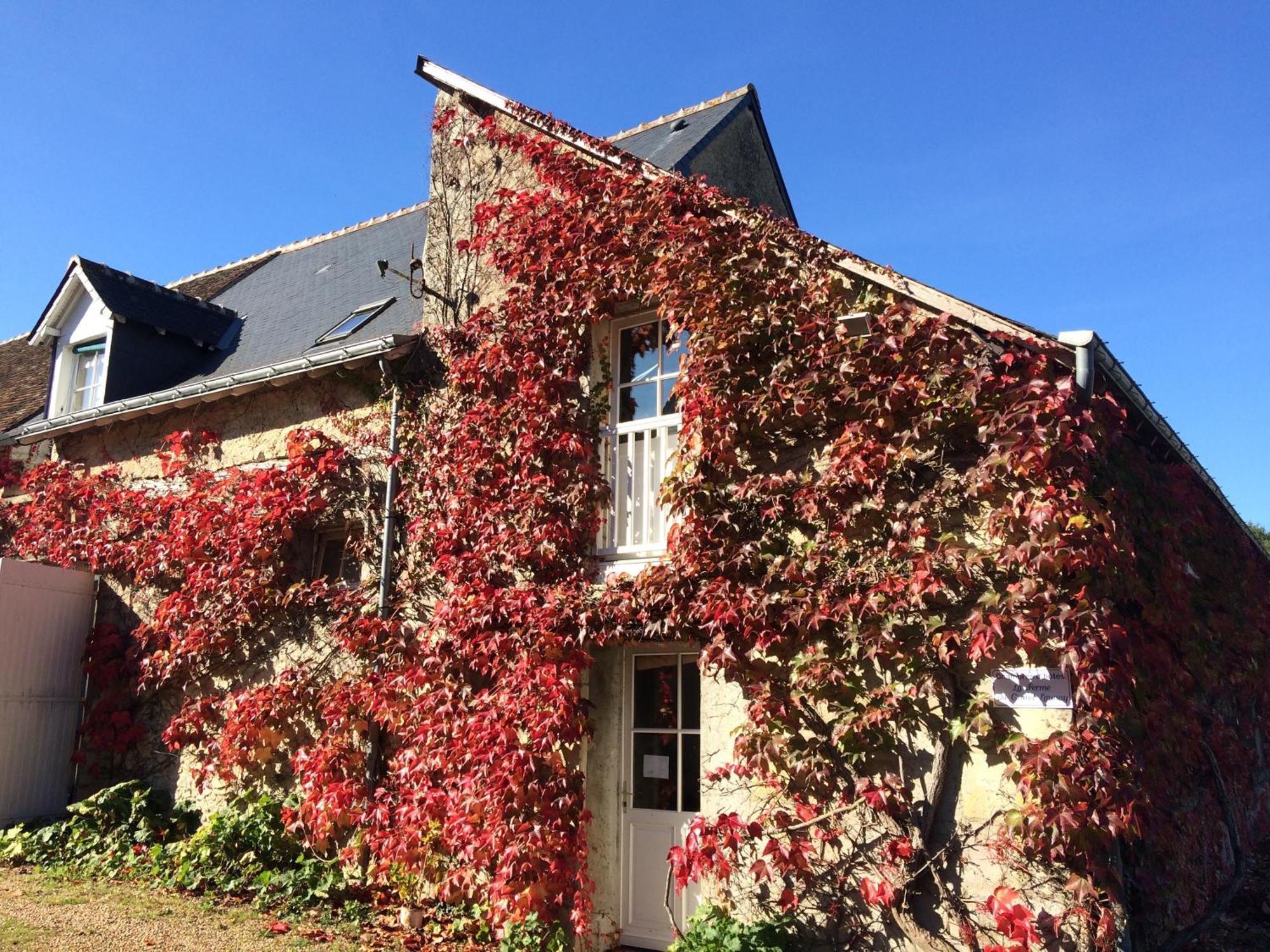 Chambres D'Hotes La Ferme Du Grand Launay Semblancay Экстерьер фото